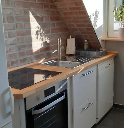 Harzer Wolf In Goslar/sudmerberg